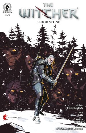 The Witcher: Blood Stone #2 Cover A